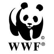 CALL FOR APPLICATIONS: INTERNSHIP AT CENTRE FOR ENVIRONMENTAL LAW, WWF-INDIA