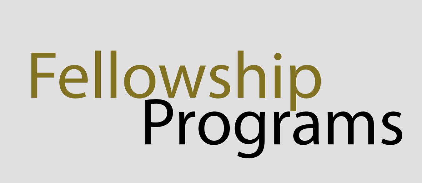 Fellowship Program  BY Sambhaavnaa Youth  2023  Apply Now!