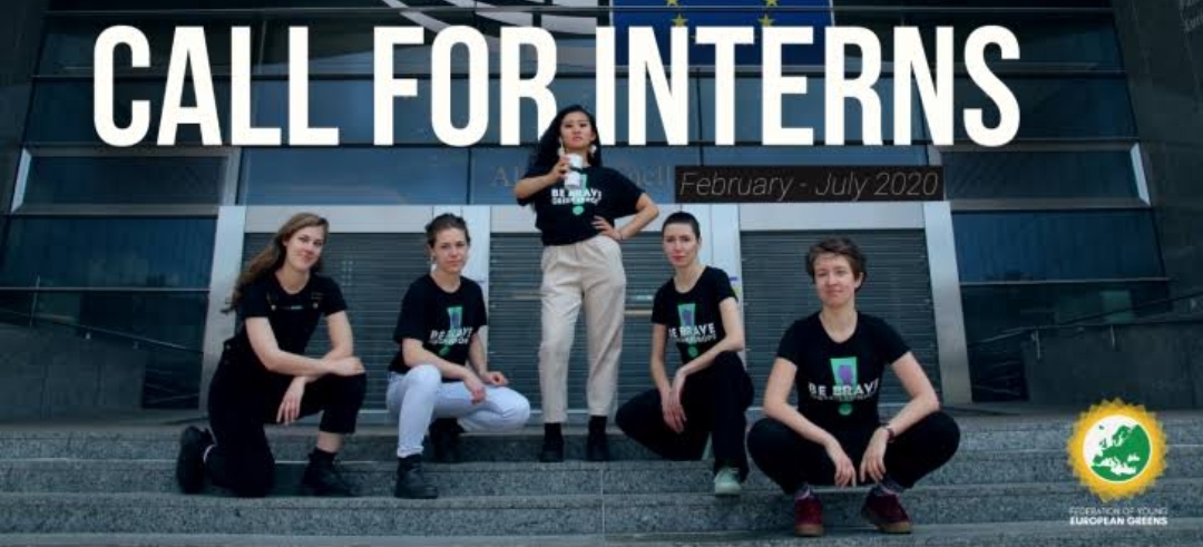 Call for interns: Summize