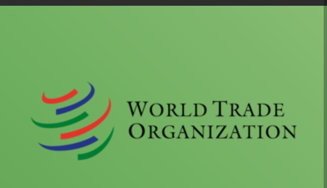 Call for proposals: (WTO Public Forum 2021)