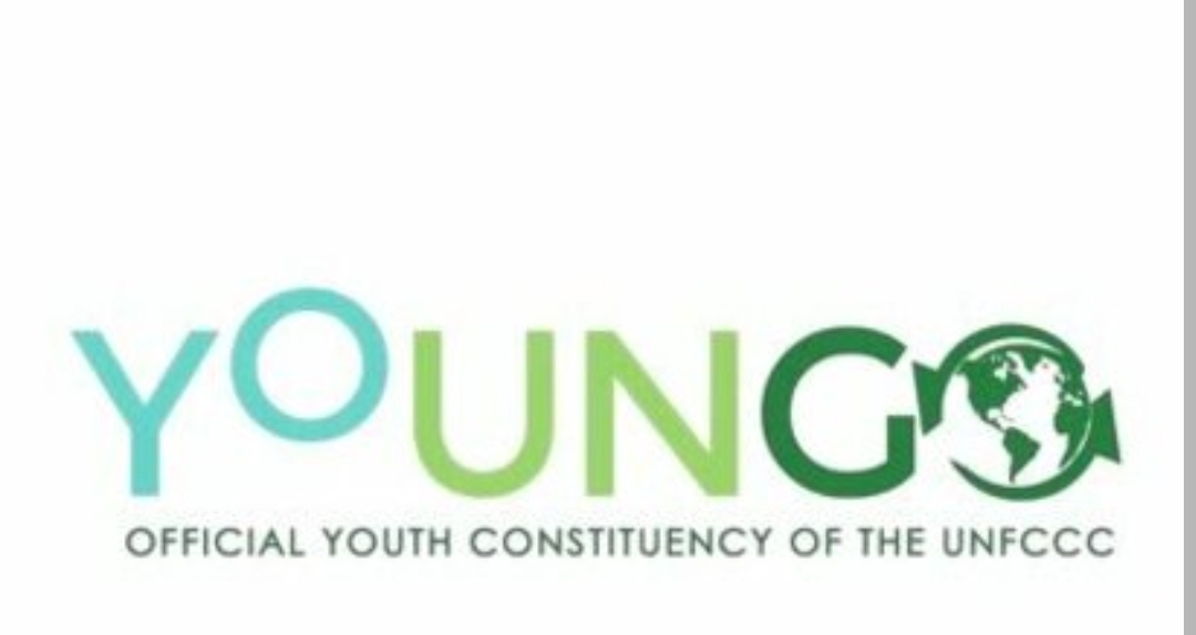 Call for ideas: (Local Conference Of Youth by YOUNGO)