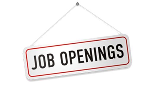 Job Opportunity for the post of Legal Researcher at Mace Corporate Associates – India! Apply Now!