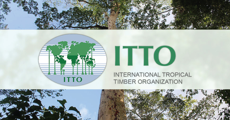 ITTO Freezailah Fellowship Fund 2021