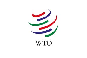 Paid Internship Opportunity at World Trade Organization Internship Programme: Apply now!