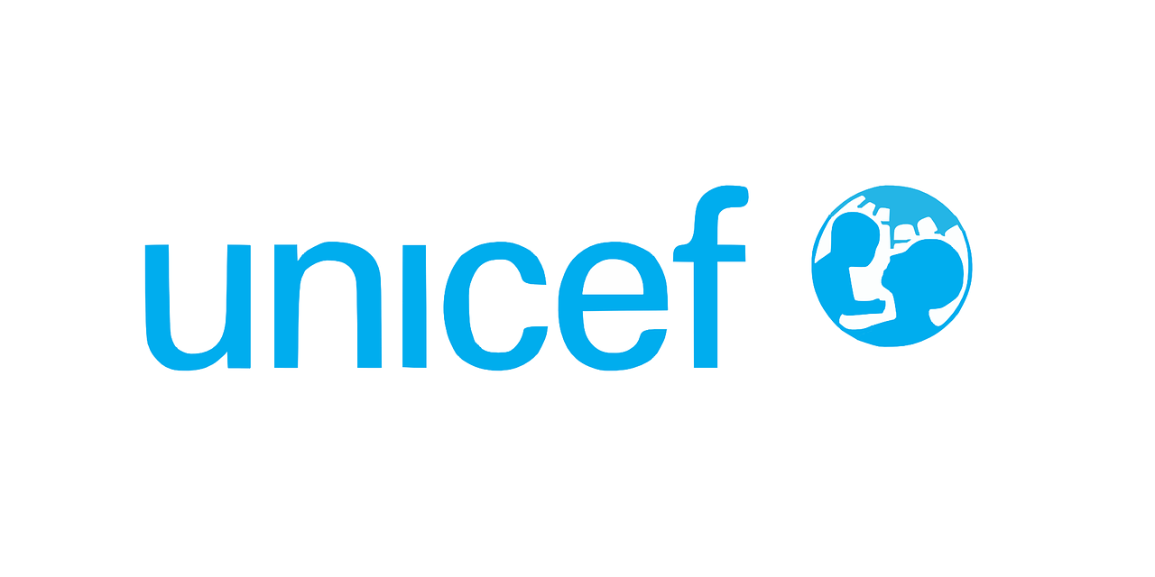 UNICEF Volunteer and Internships 2023 (Fully Funded)