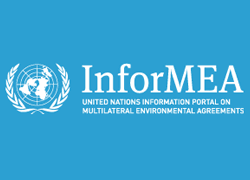 Free and Open Course on Human Rights and Environment, by UNITAR and UNEP [Self-Paced; Certified Participation]: Register Now!
